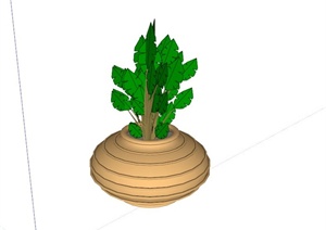 现代简约陶罐植物设计SU(草图大师)模型