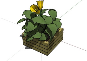 现代风格花池植物设计SU(草图大师)模型