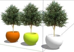 三款彩色花钵植物SU(草图大师)模型