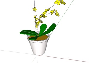 盆景植物设计SU(草图大师)模型