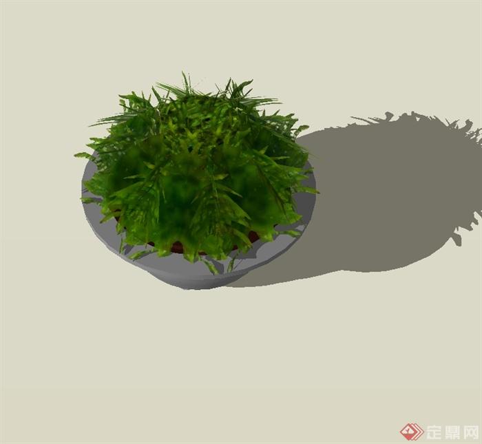 室内盆景植物设计su模型(2)