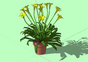 室内花卉植物盆栽设计SU(草图大师)模型