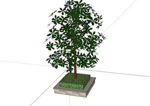 现代树池植物设计SU(草图大师)模型