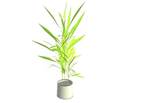 某花钵盆栽植物设计SU(草图大师)模型