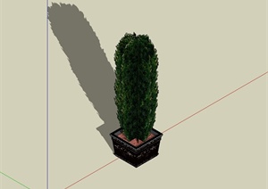 某精致盆栽盆景植物设计SU(草图大师)模型