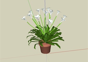 盆景花卉植物设计SU(草图大师)模型