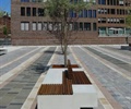 广场设计,树池设计,树池坐凳