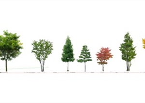 多棵景观树SU(草图大师)模型素材
