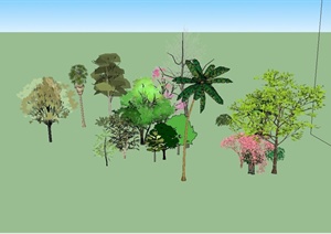 多种不同的植物收集SU(草图大师)模型