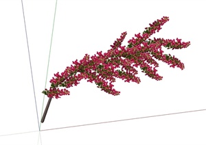垂直植物设计SU(草图大师)模型
