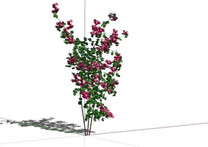 园林藤蔓及垂直植物设计SU(草图大师)模型