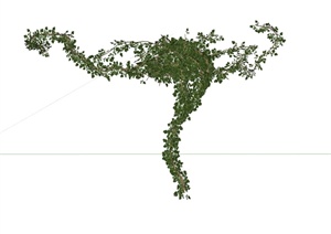 藤蔓垂直植物设计SU(草图大师)模型