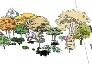 园林景观植物设计合集SU(草图大师)模型