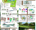 公园景观,公园,学生作业