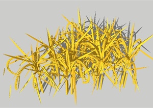水稻植物SU(草图大师)模型