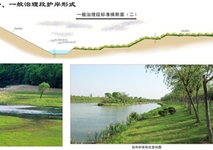 河道生态治理CAD断面图及jpg图片