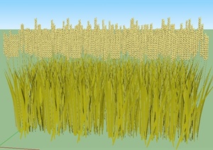 小麦农作物粮食SU(草图大师)模型