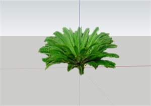 2d苏铁植物设计SU(草图大师)模型