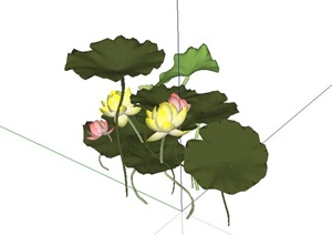荷花水生植物SU(草图大师)模型
