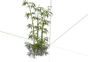 景观植物竹类设计SU(草图大师)模型