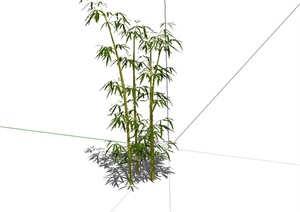 竹类景观素材设计SU(草图大师)模型