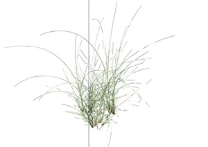 20种不同的景观花卉植物SU(草图大师)模型
