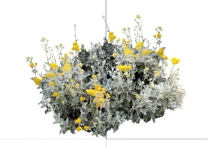 20种不同的花卉景观植物设计SU(草图大师)模型