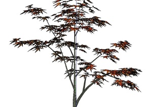 经典红枫植物素材SU(草图大师)模型