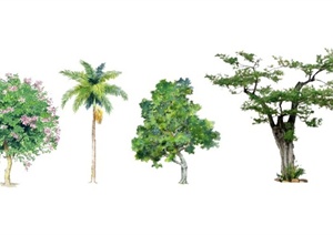 10款手绘植物SU(草图大师)素材模型