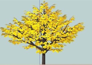 精细观叶树木植物素材SU(草图大师)模型