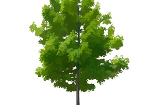 手绘树木植物SU(草图大师)素材模型
