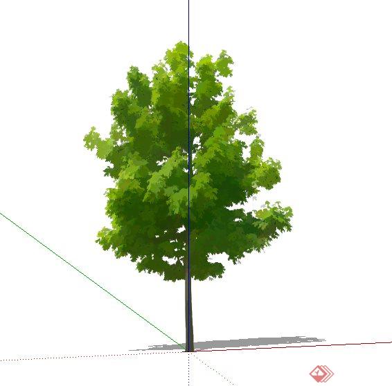手绘树木植物su素材模型(2)