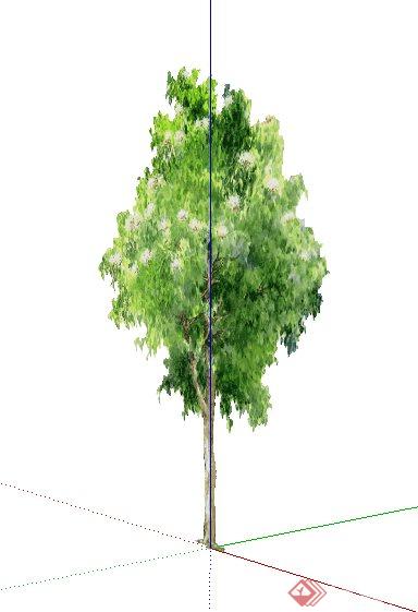 手绘绿树植物su素材模型 (2)