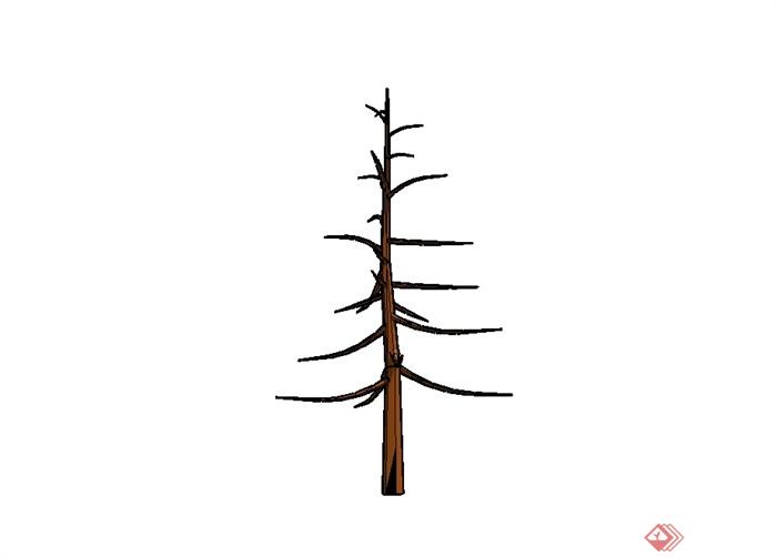 经典干枯树木素材设计SU模型(3)