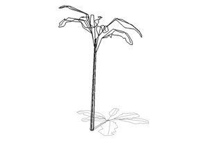 简单的植物素材设计SU(草图大师)模型
