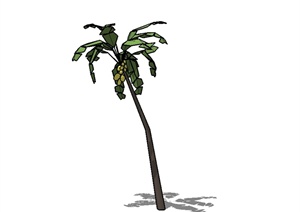 热带经典植物素材设计SU(草图大师)模型