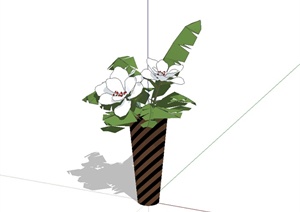 经典盆栽景观植物素材设计SU(草图大师)模型