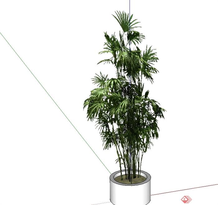 经典盆栽植物素材设计SU模型(1)