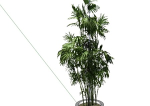 经典盆栽植物素材设计SU(草图大师)模型