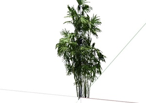 经典水竹植物素材设计SU(草图大师)模型