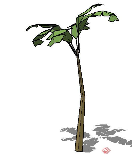 简易芭蕉树植物素材SU模型(1)