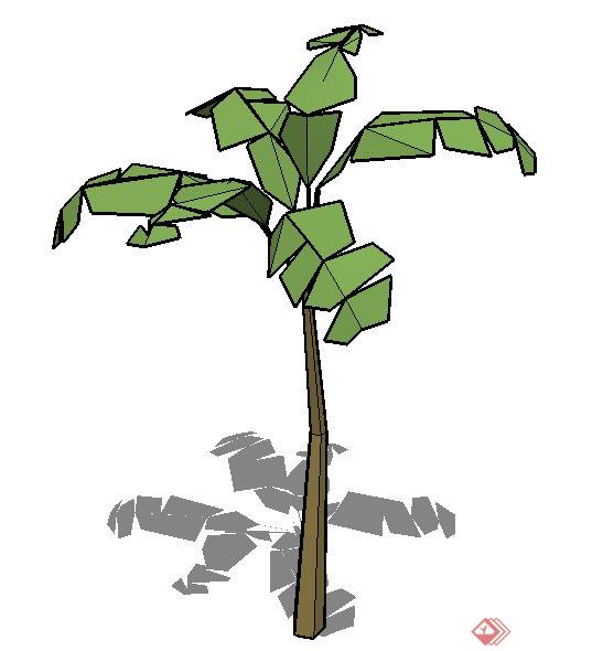 简易芭蕉树植物素材SU模型(2)