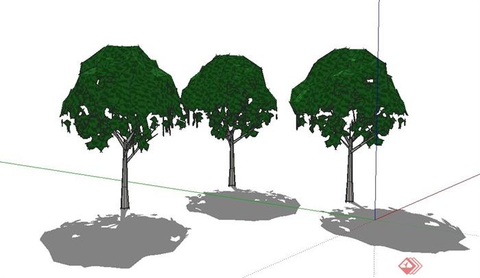 三棵树木植物素材SU模型(1)