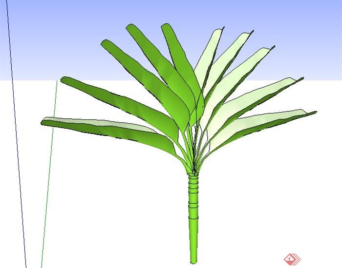 简易芭蕉树植物SU模型(1)