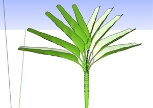简易芭蕉树植物SU(草图大师)模型