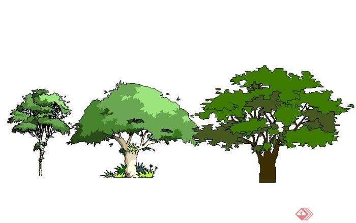 8款树木植物su素材模型(2)