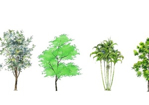 9款手绘植物SU(草图大师)素材模型