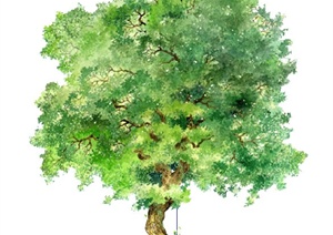 一棵手绘绿树植物SU(草图大师)素材模型
