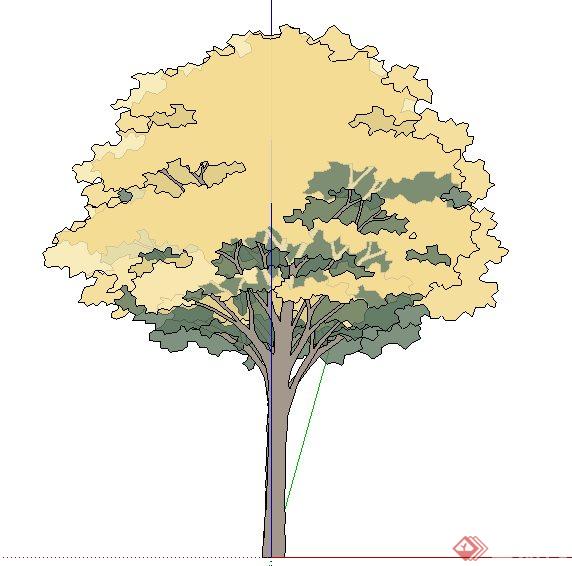 2D树木植物su素材模型(1)