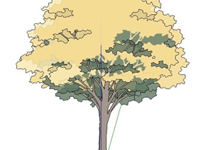 2D树木植物SU(草图大师)素材模型